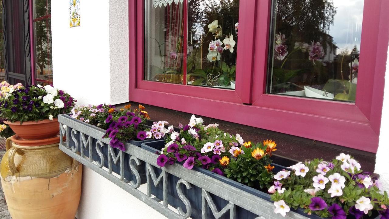 Lichtenberg  B & B Gaestehaus Schmidt المظهر الخارجي الصورة